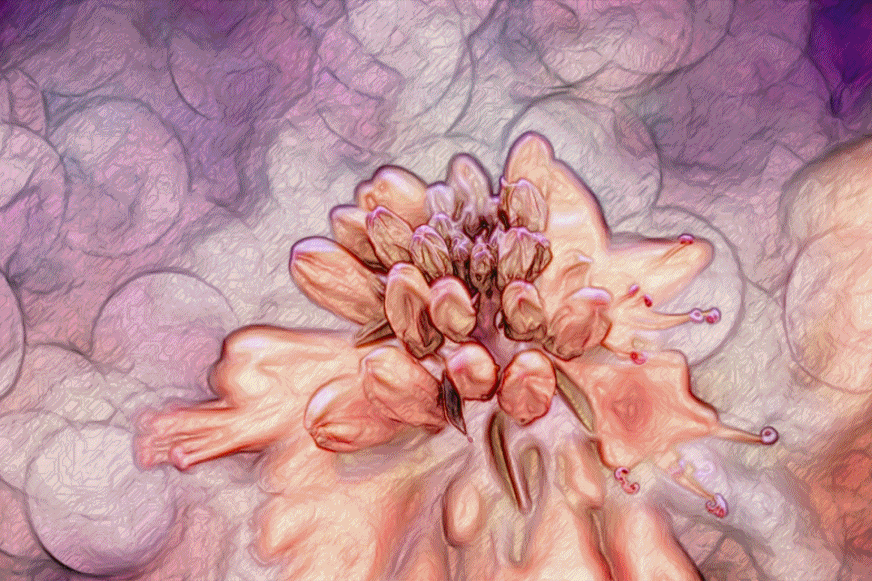 Edited with Imagelys Studio